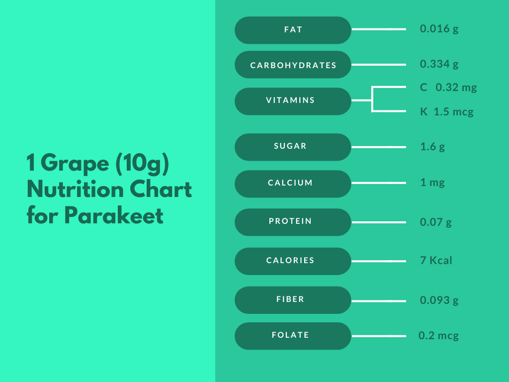 Infographic Showing Grape Nutrition Chart For Parakeet