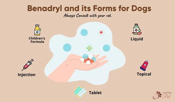 infographic listing various forms of Benadryl for dogs
