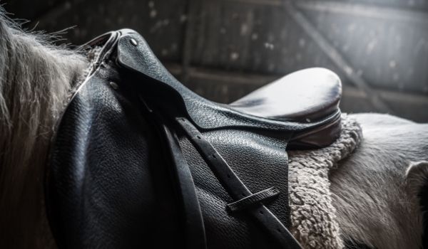Black Saddle Bag for Horse