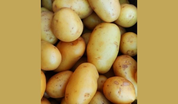  Close-up of Potato