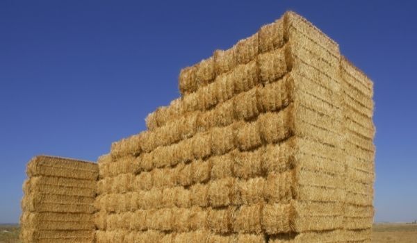 How many round bales per acre