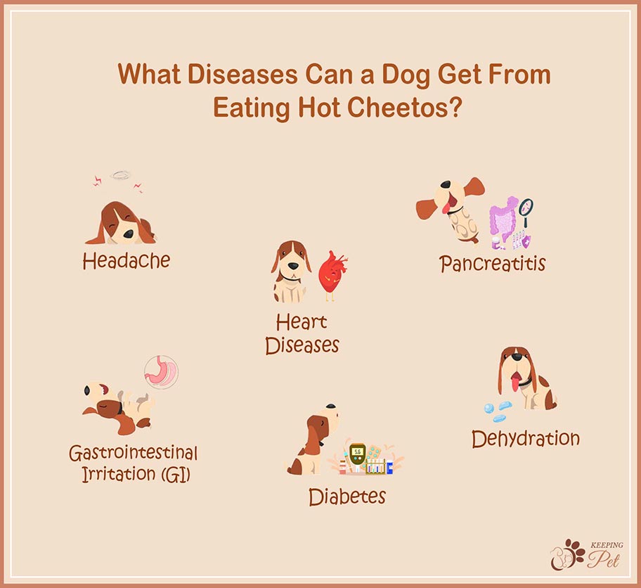 Infographic showing health risks associated with dog eating Hot Cheetos