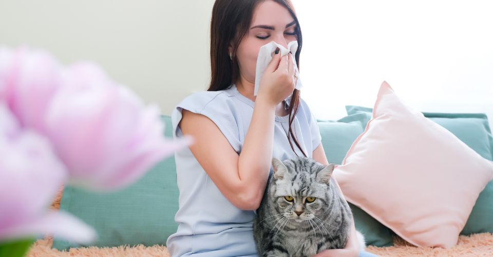 A woman sneezing with a cat at her lap