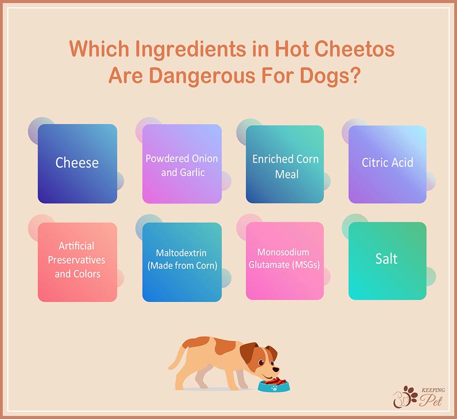 infographic listing Hot Cheetos' ingredients that are bad for dogs