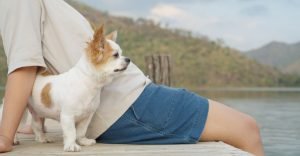 A person is sitting on a river canal beside a cute puppy