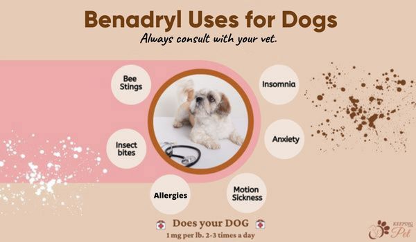 Infographic listing Benadryl Uses for Dogs