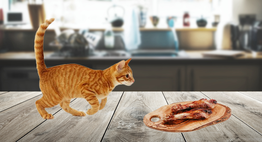 Orange-White Cat Approaching Duck Wings on a Wooden Table Surrounded by Spices