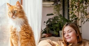 A white and grey cat is looking away from a woman