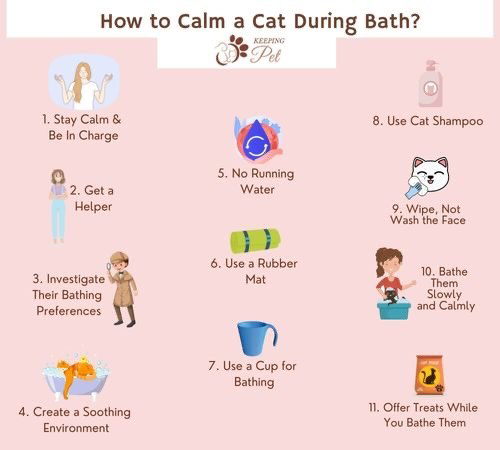 How to Calm a Cat During Bath