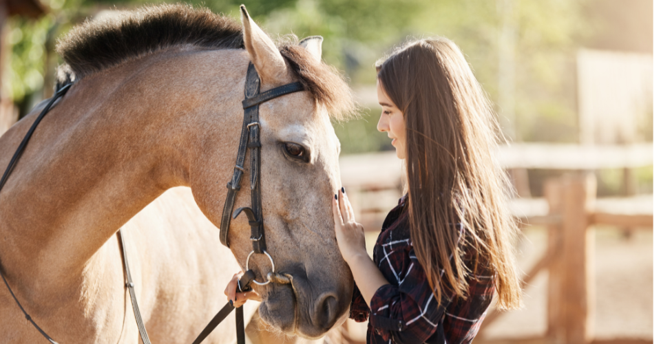 Young girl caring and petting her horse