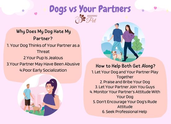 infographic listing reason why your dog might hate your partner and how to make them get along