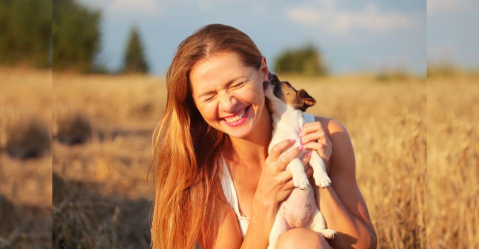 9 Reasons Dog Nibbles Your Ears And How To Stop It