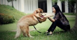 A woman holding a dog’s hand