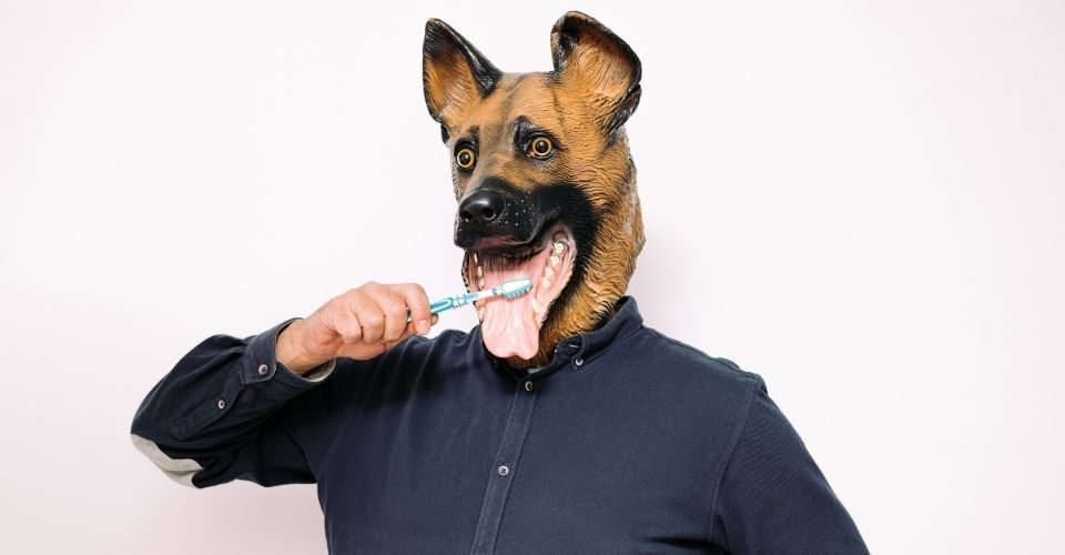 kissable dog toothpaste