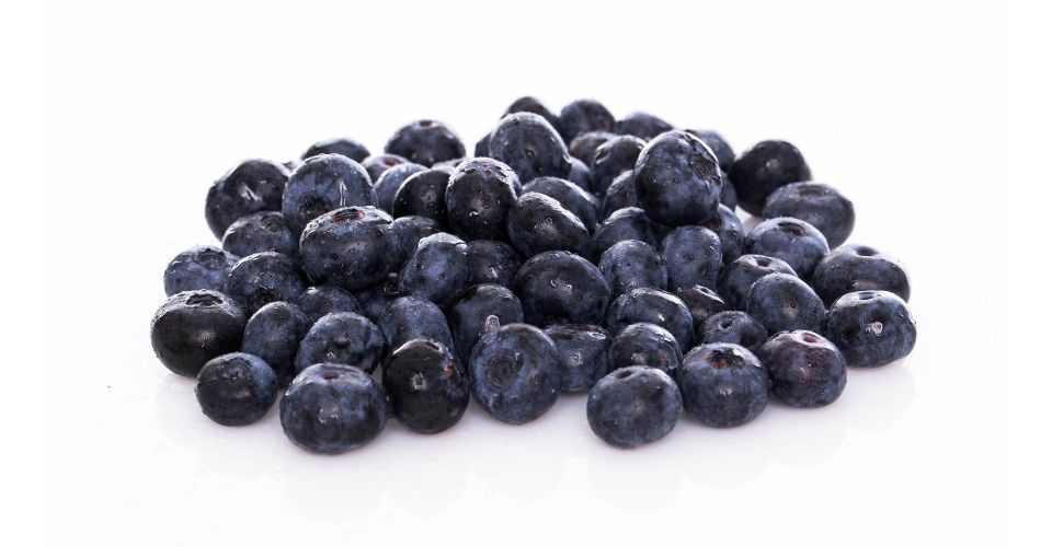 Can horses eat blueberries