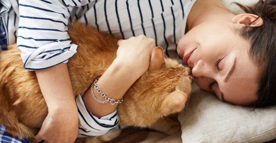 what-does-it-mean-when-your-cat-sleeps-on-you-5-reasons-in-2021-cat